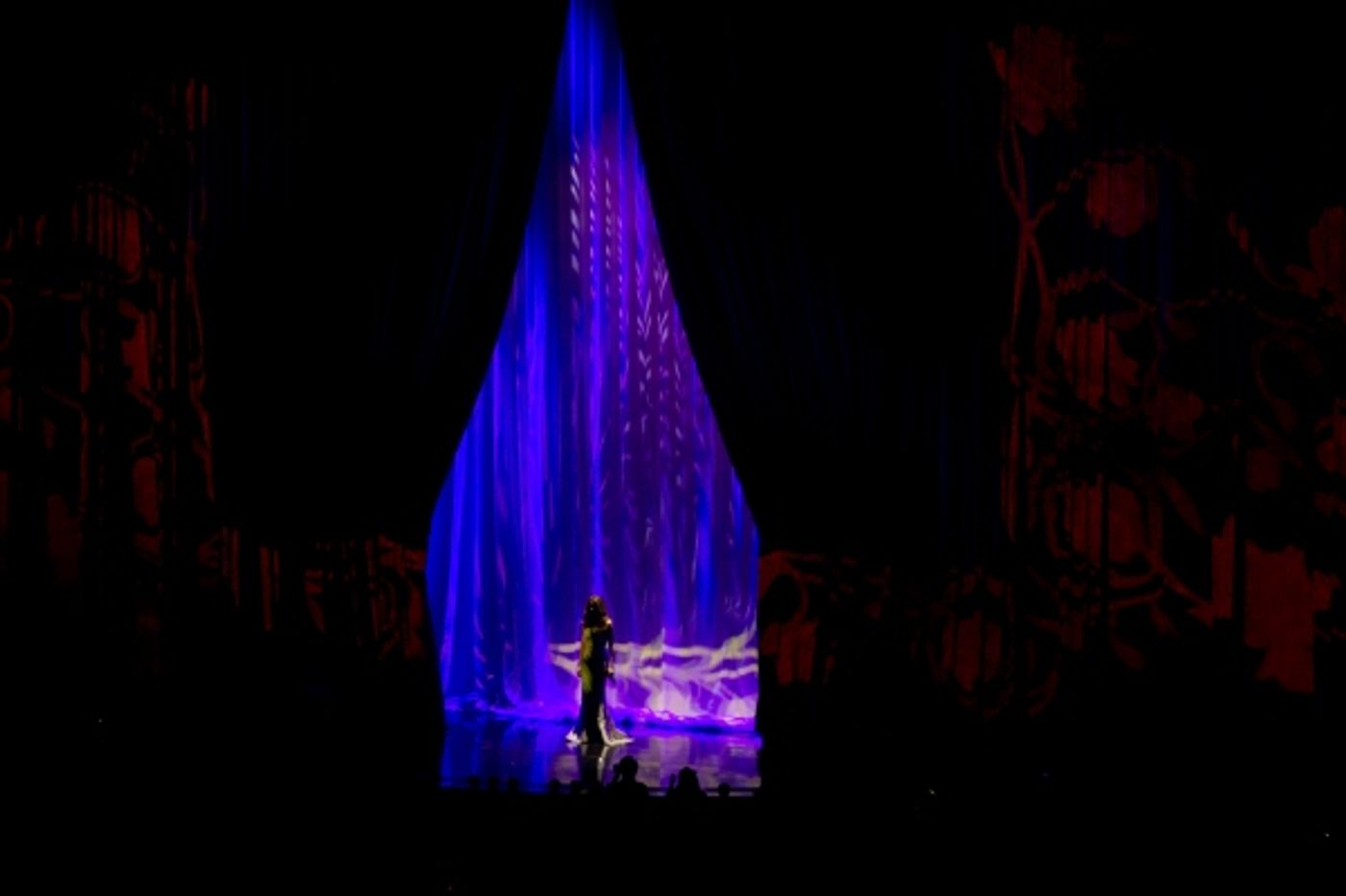 Photo Coverage: Celine Dion Returns to Las Vegas  Image