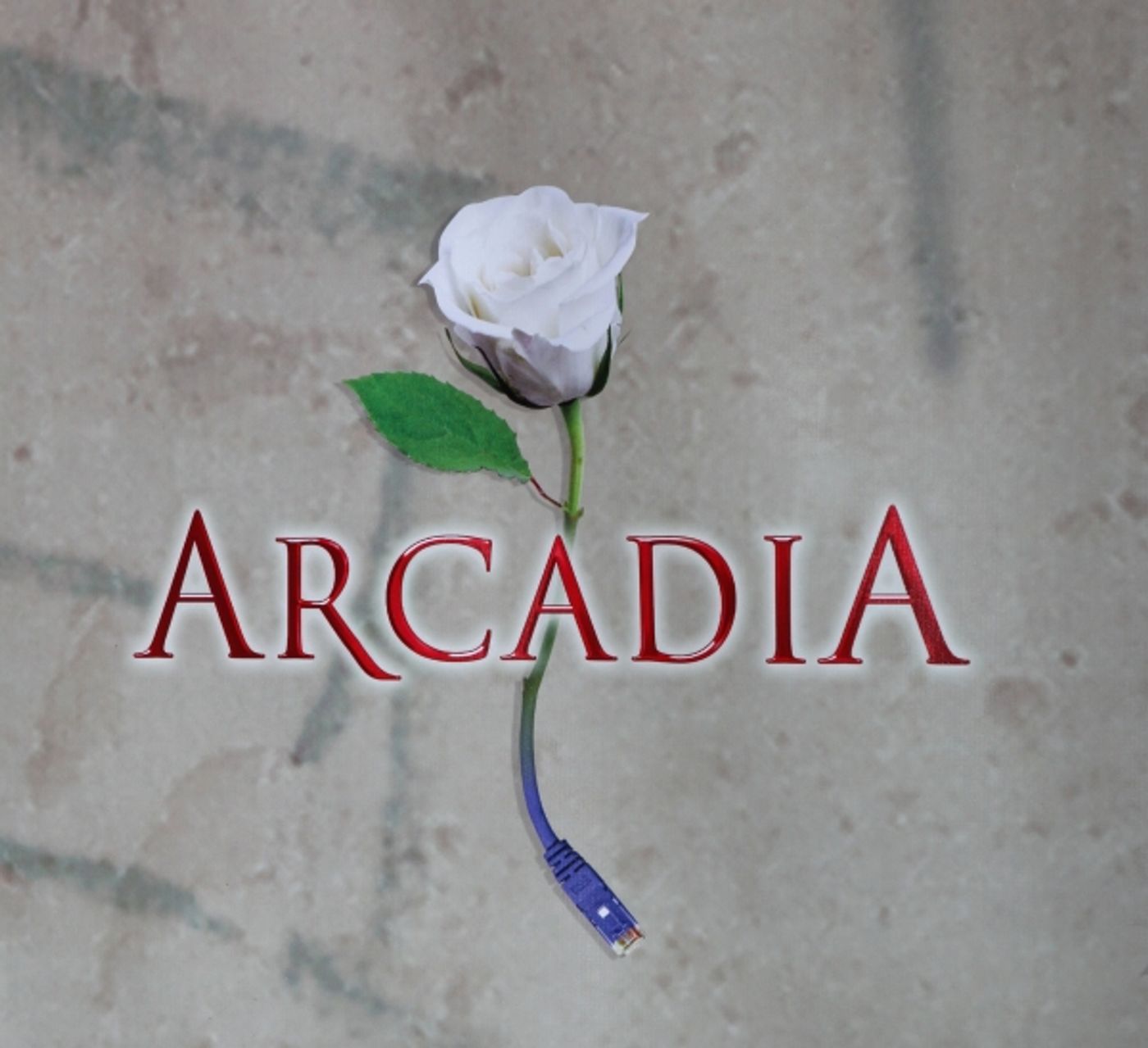 Photo Coverage: ARCADIA Opening Night Arrivals  Image