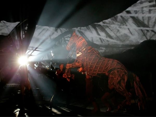 Photos: WAR HORSE at LCT - First Production Shots — photo 12 of 12