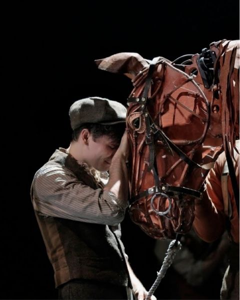 Photos: WAR HORSE at LCT - First Production Shots — photo 11 of 12
