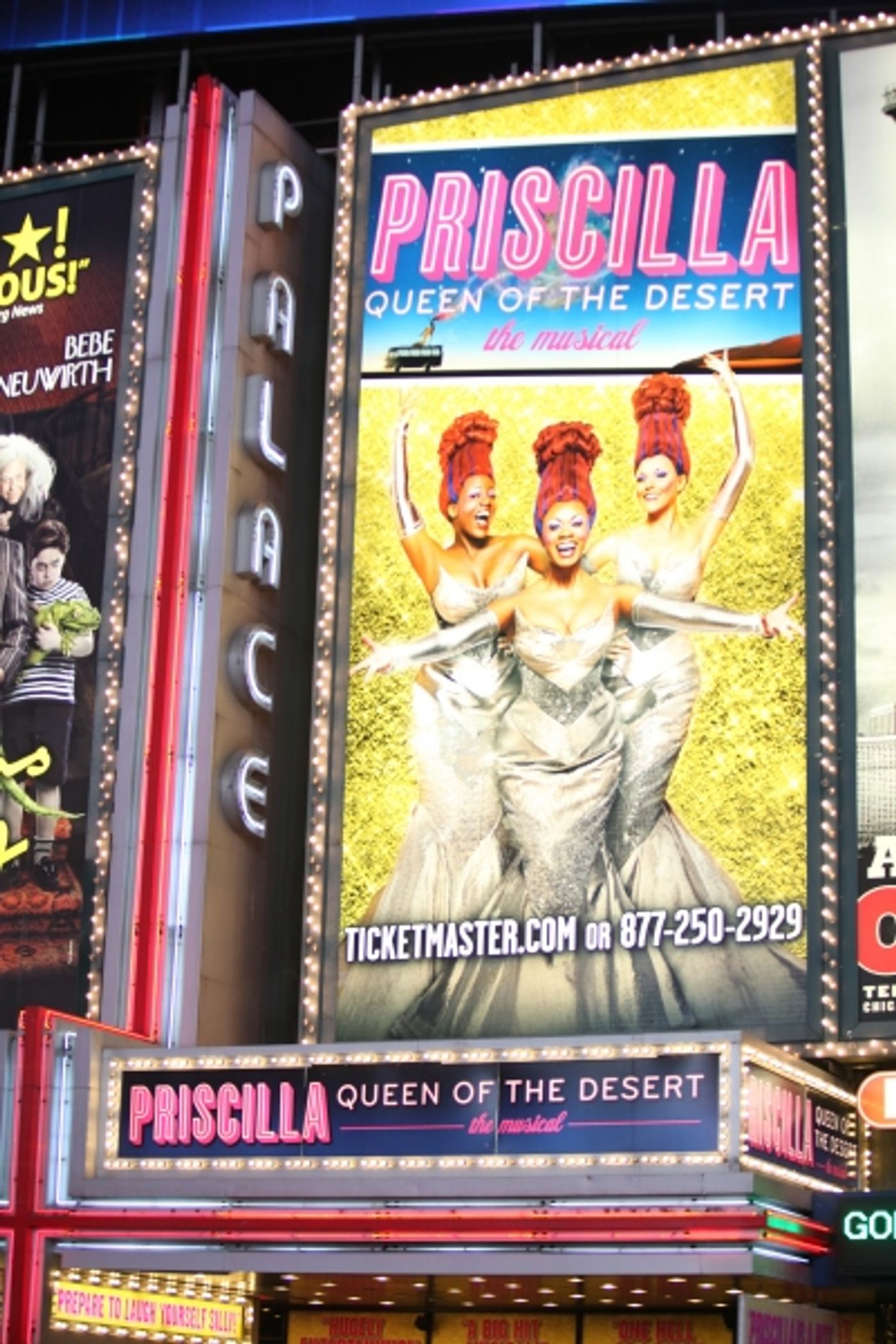 Photo Coverage: PRISCILLA QUEEN OF THE DESERT - Opening Night Curtain Call!  Image