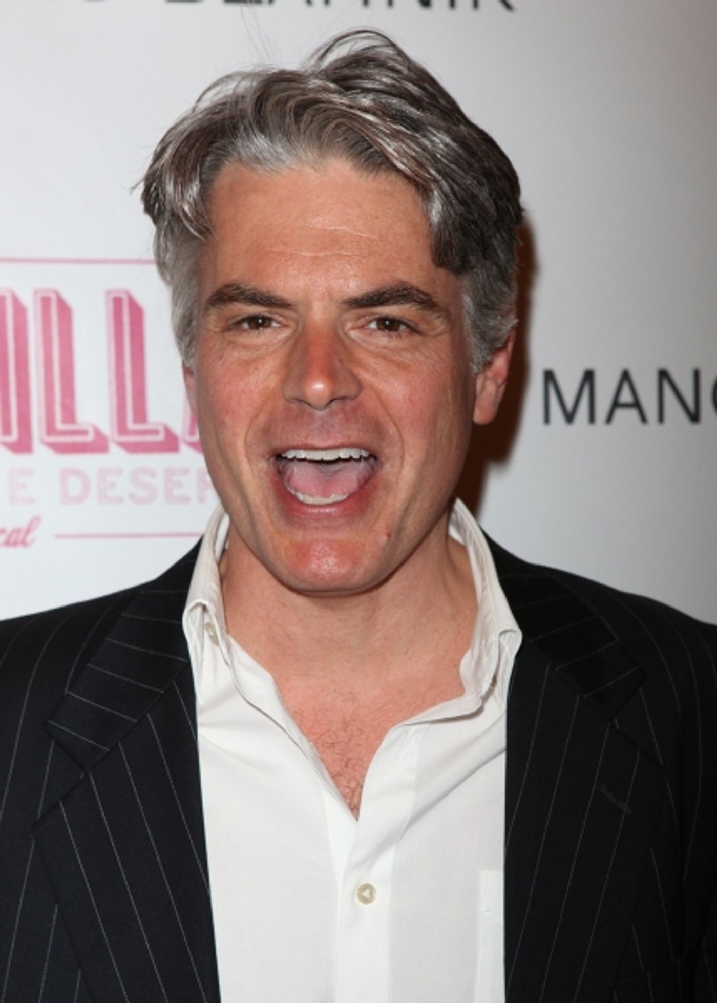 Photo Coverage: PRISCILLA QUEEN OF THE DESERT Red Carpet - Part 2  Image