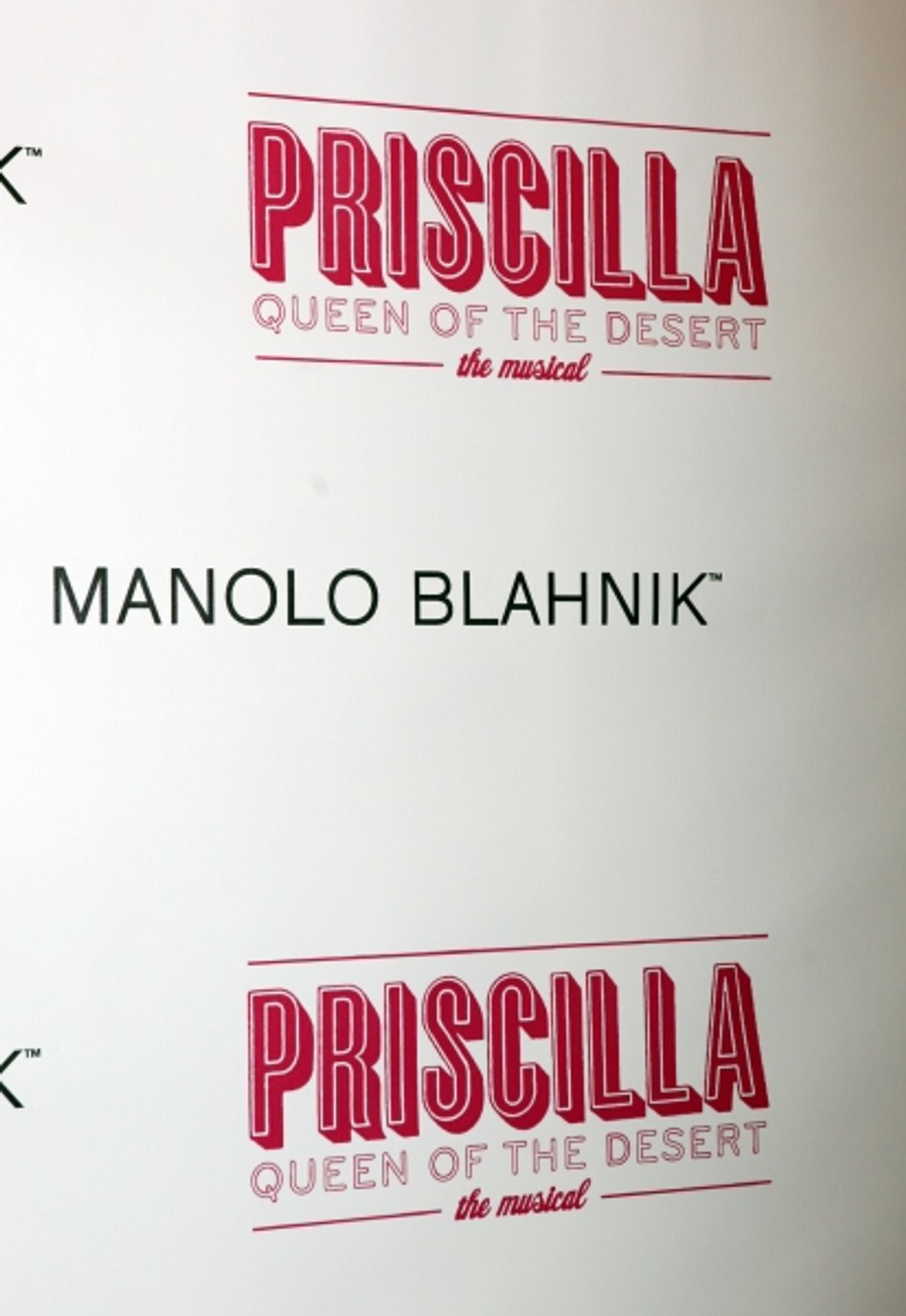 Photo Coverage: PRISCILLA QUEEN OF THE DESERT Red Carpet - Part 2  Image
