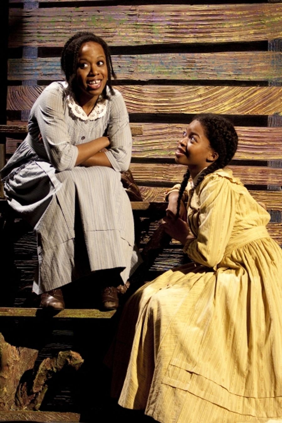 Photo Flash: National Theatre's COLOR PURPLE Image