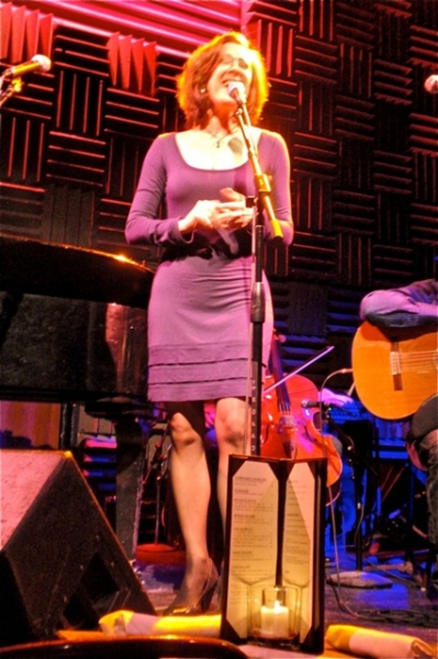 Photo Flash: Ziemba, Maltby, et al. Sing at Andrew Gerle Concert  Image