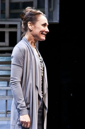 Laurie Metcalf Photo