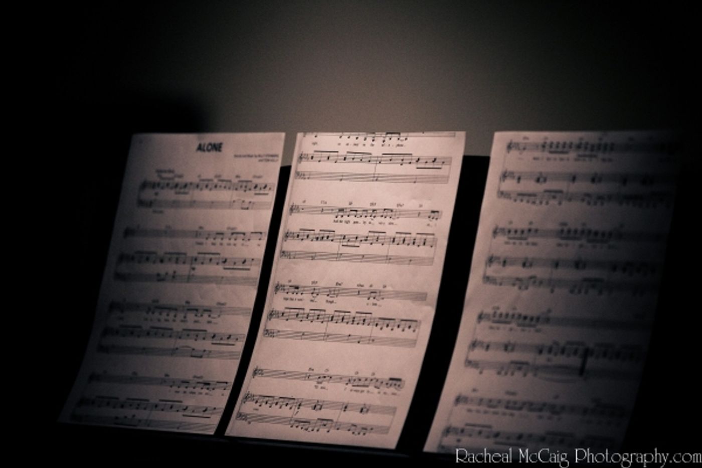 Photo Flash: Open Call for AMERICAN IDIOT in Toronto  Image