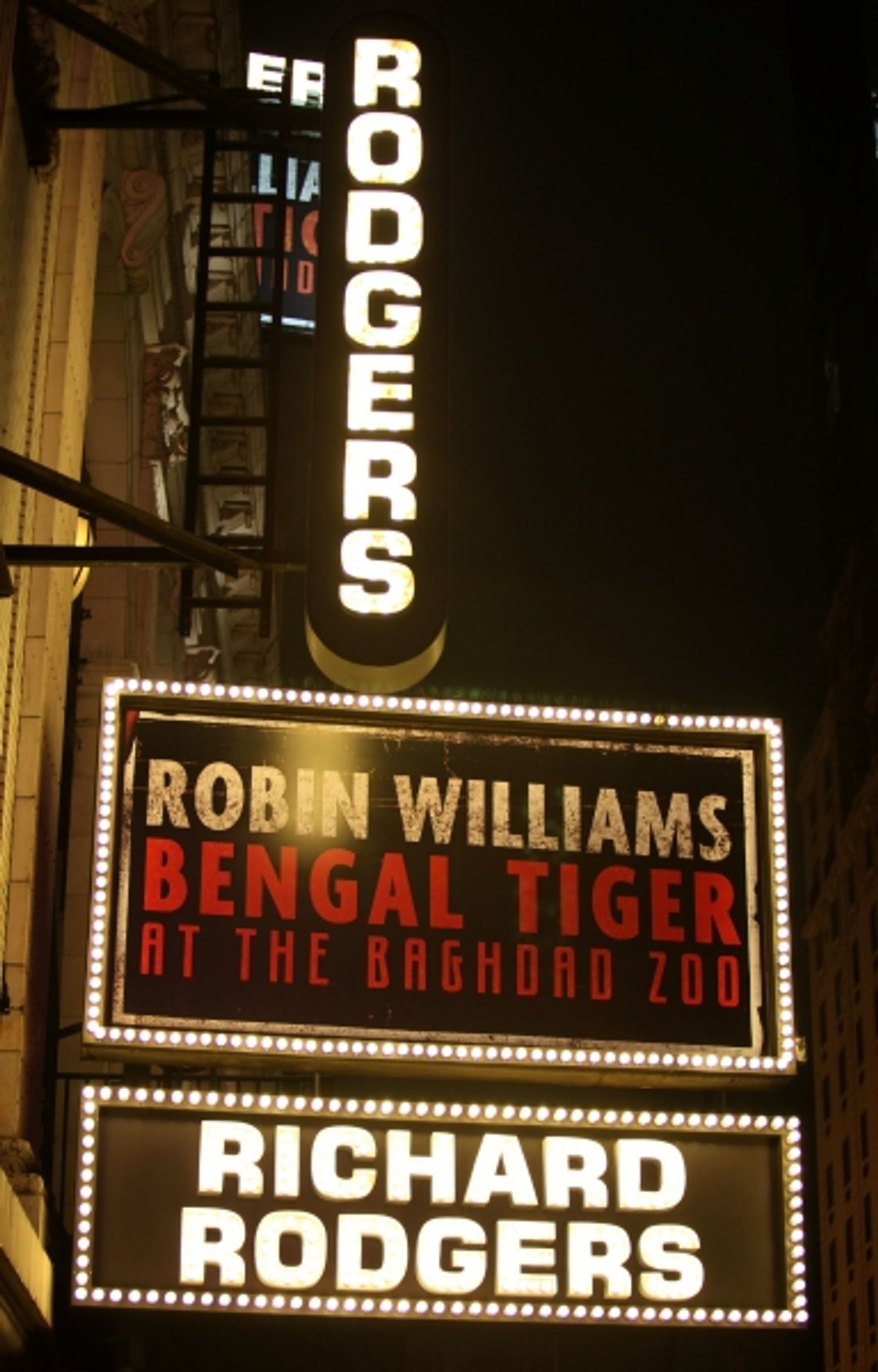 Photos: BENGAL TIGER AT THE BAGHDAD ZOO Opens on Broadway  Image