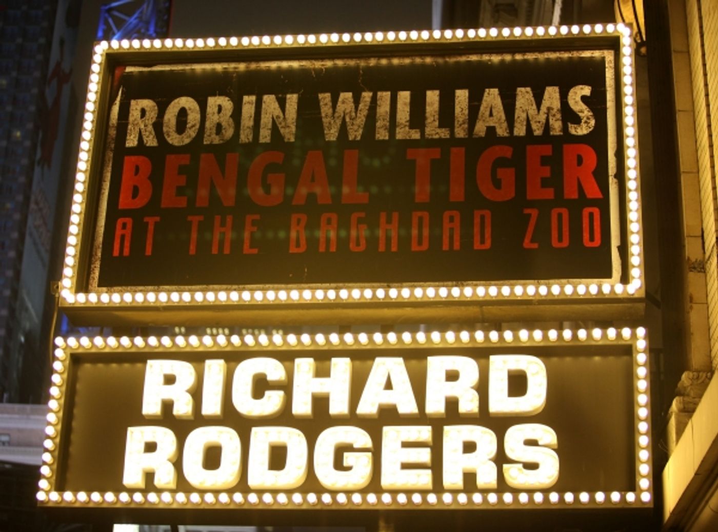 Photos: BENGAL TIGER AT THE BAGHDAD ZOO Opens on Broadway  Image