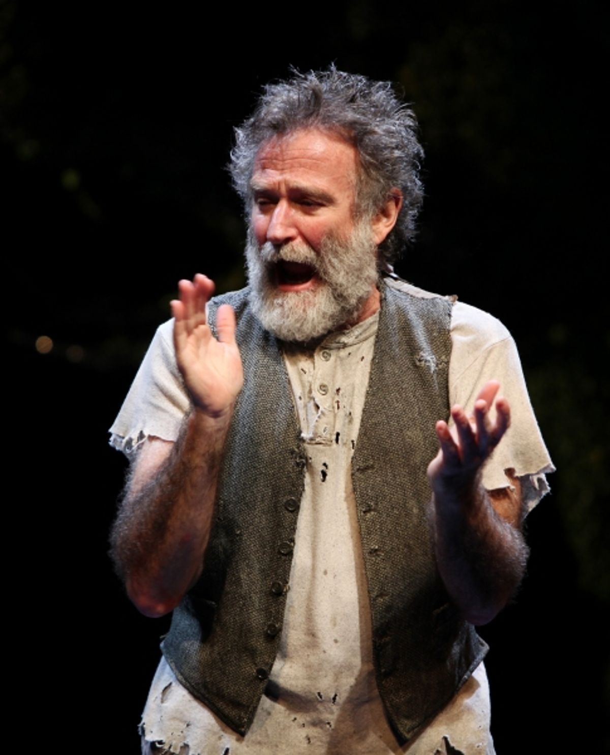 Robin Willams during the Broadway Opening Night Curtain Call for 'Bengal Tiger at the Baghdad Zoo' at the Richard Rodgers Theatre in New York City at 