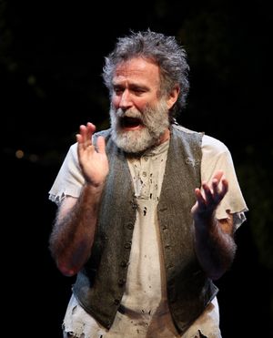 Robin Willams during the Broadway Opening Night Curtain Call for 'Bengal Tiger at the Baghdad Zoo' at the Richard Rodgers Theatre in New York City @ BroadwayWorld Robin Willams during the Broadway Opening Night Curtain Call for 'Bengal Tiger at the Photo