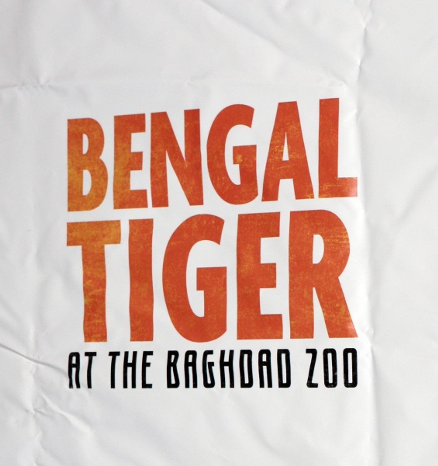 Photo Coverage: BENGAL TIGER AT THE BAGHDAD ZOO Starry Theatre Arrivals  Image