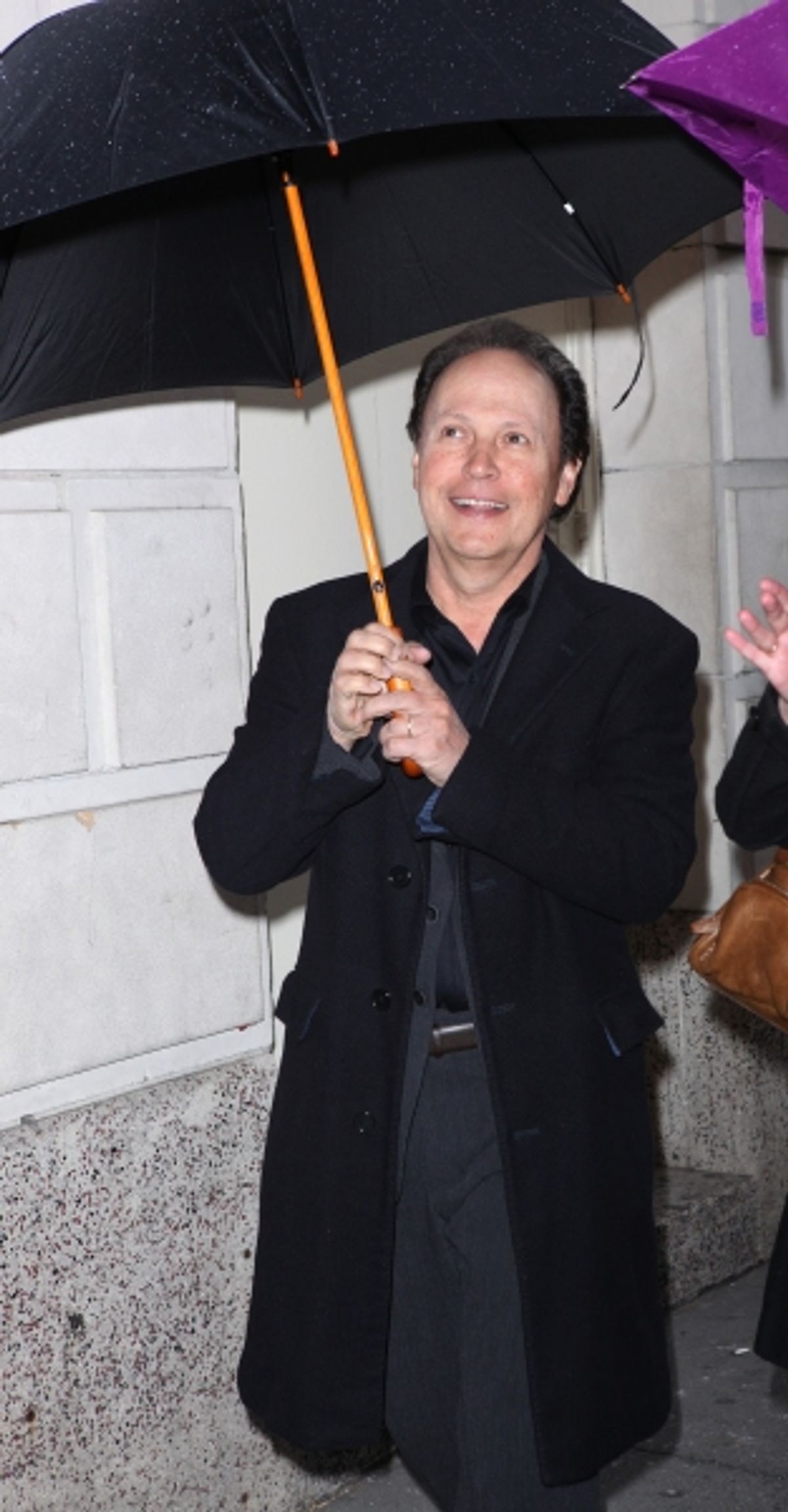 Billy Crystal attending the Broadway Opening Night Performance of 'Bengal Tiger At The Baghdad Zoo' at the Richard Rodgers Theatre in New York City. at 