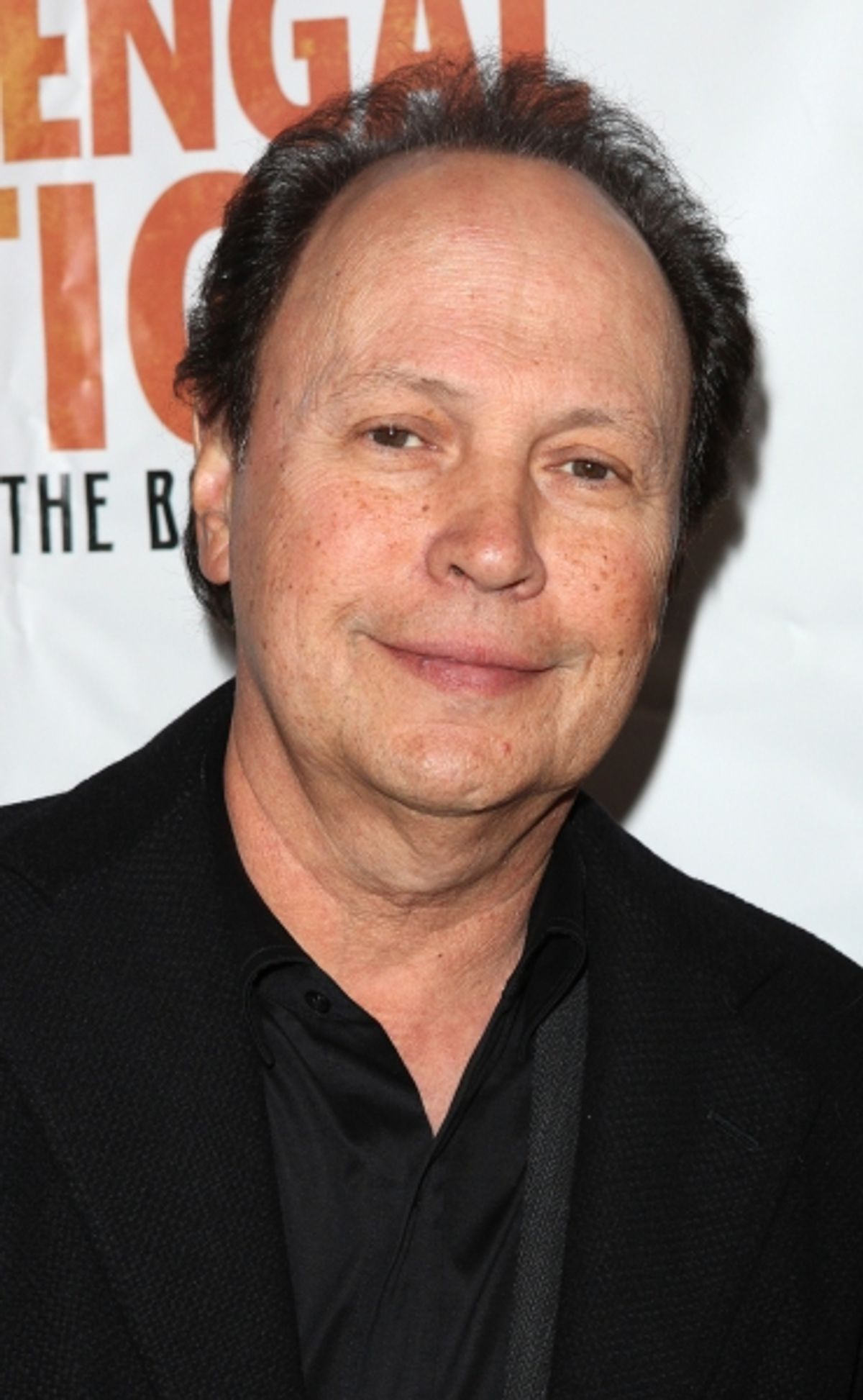 Billy Crystal attending the Broadway Opening Night Performance of 'Bengal Tiger At The Baghdad Zoo' at the Richard Rodgers Theatre in New York City. at 