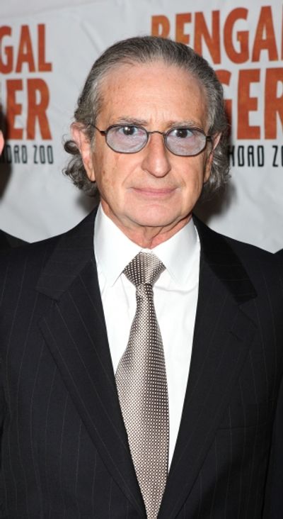 Sander Jacobs attending the Broadway Opening Night Performance of 'Bengal Tiger At Th Photo