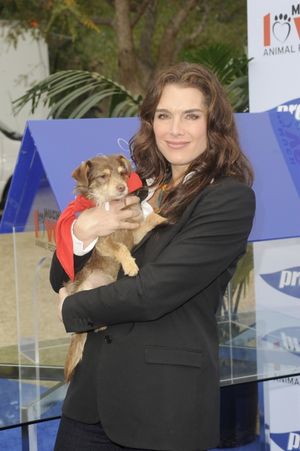 Brooke Shields @ BroadwayWorld Brooke Shields Photo