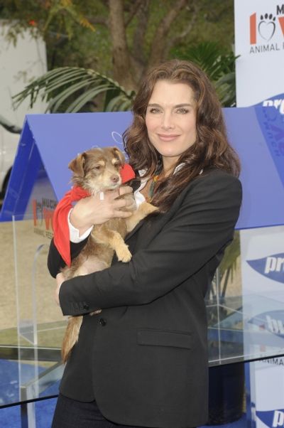 Brooke Shields Photo