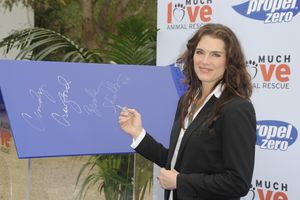 Brooke Shields @ BroadwayWorld Brooke Shields Photo