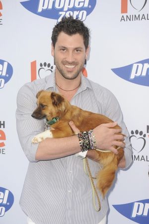 Maksim Chmerkovskiy @ BroadwayWorld Maksim Chmerkovskiy Photo