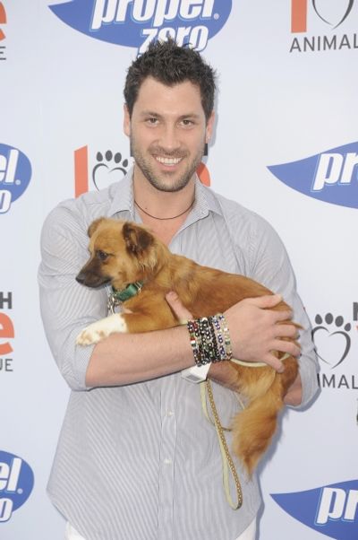 Maksim Chmerkovskiy Photo