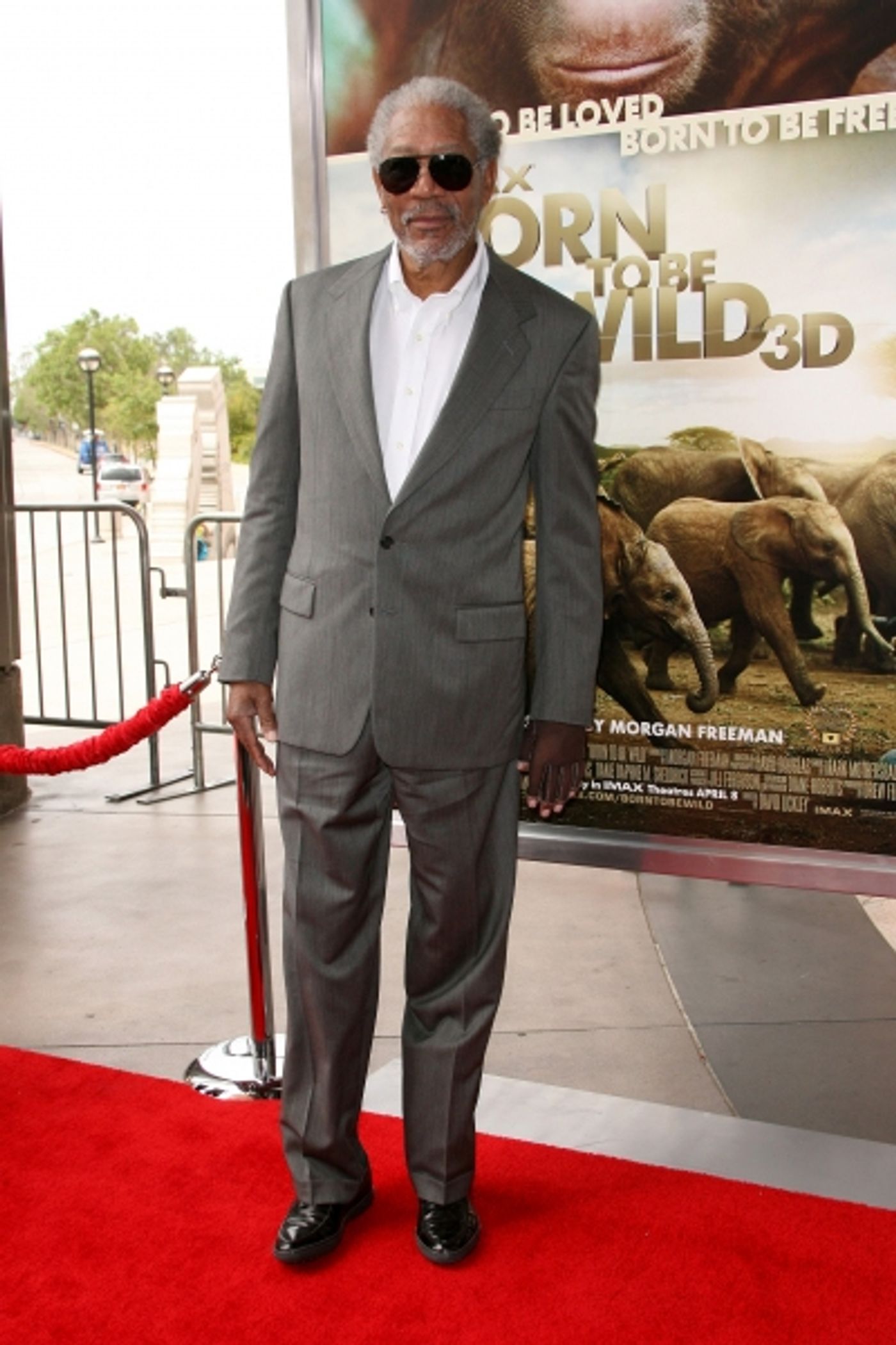 Photo Coverage: Born to Be Wild 3D Premieres in LA  Image