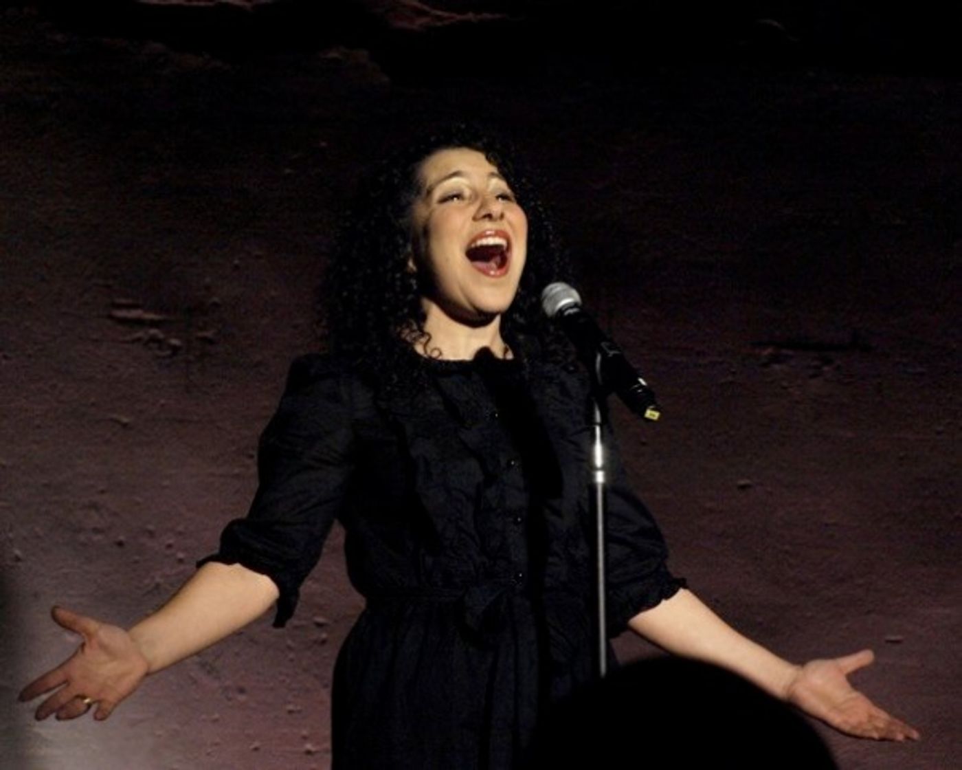 Photo Flash: Pascal, McGinnis, et al. Sing at REBUILD JAPAN Photo Flash: Pascal, McGinnis, et al. Sing at REBUILD JAPAN Image