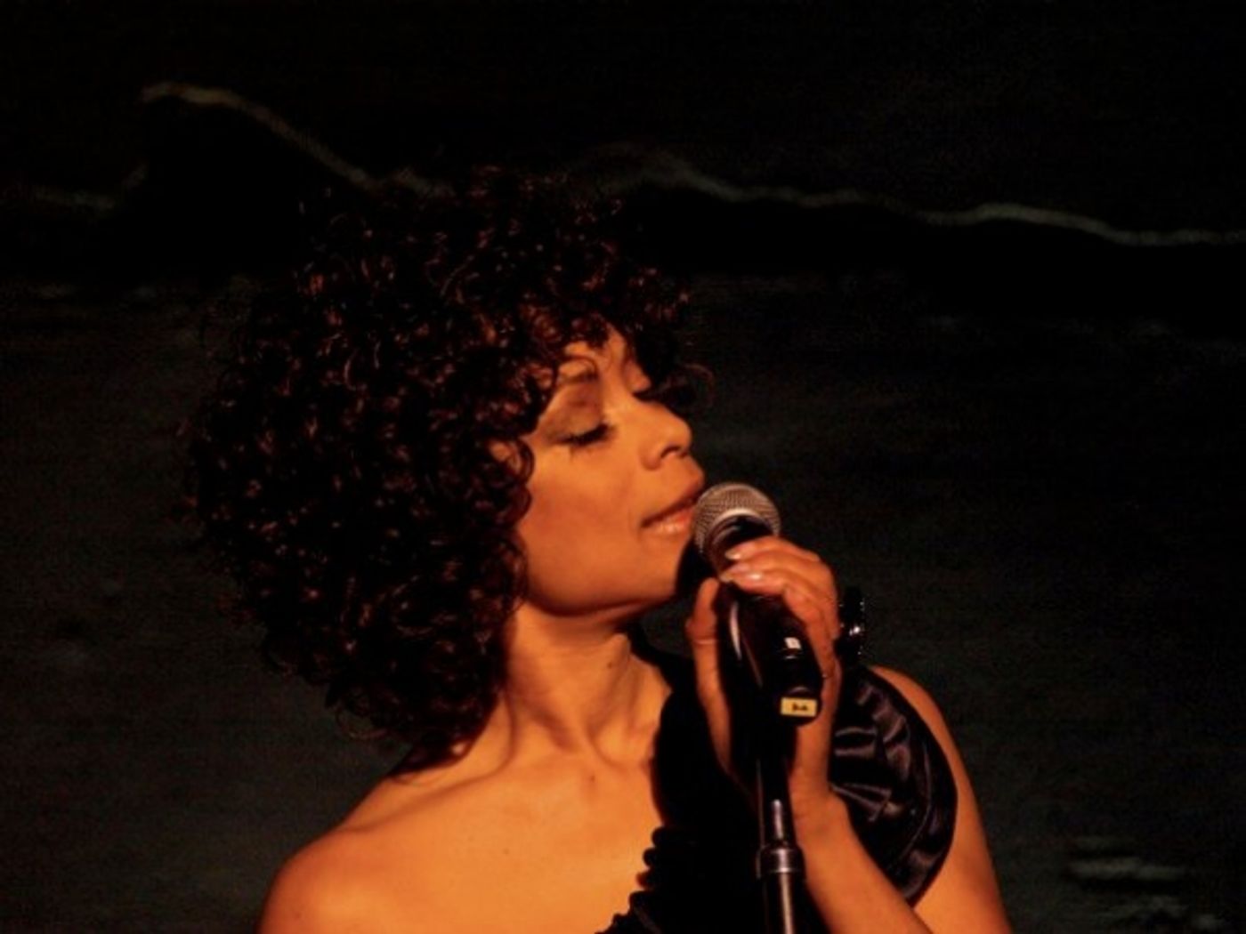 Photo Flash: Pascal, McGinnis, et al. Sing at REBUILD JAPAN  Image