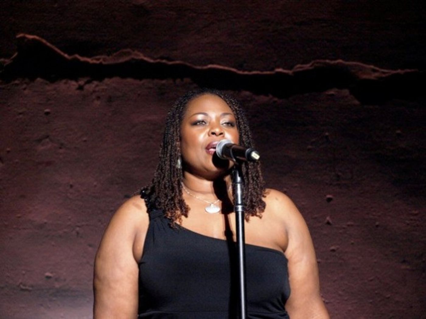 Photo Flash: Pascal, McGinnis, et al. Sing at REBUILD JAPAN  Image