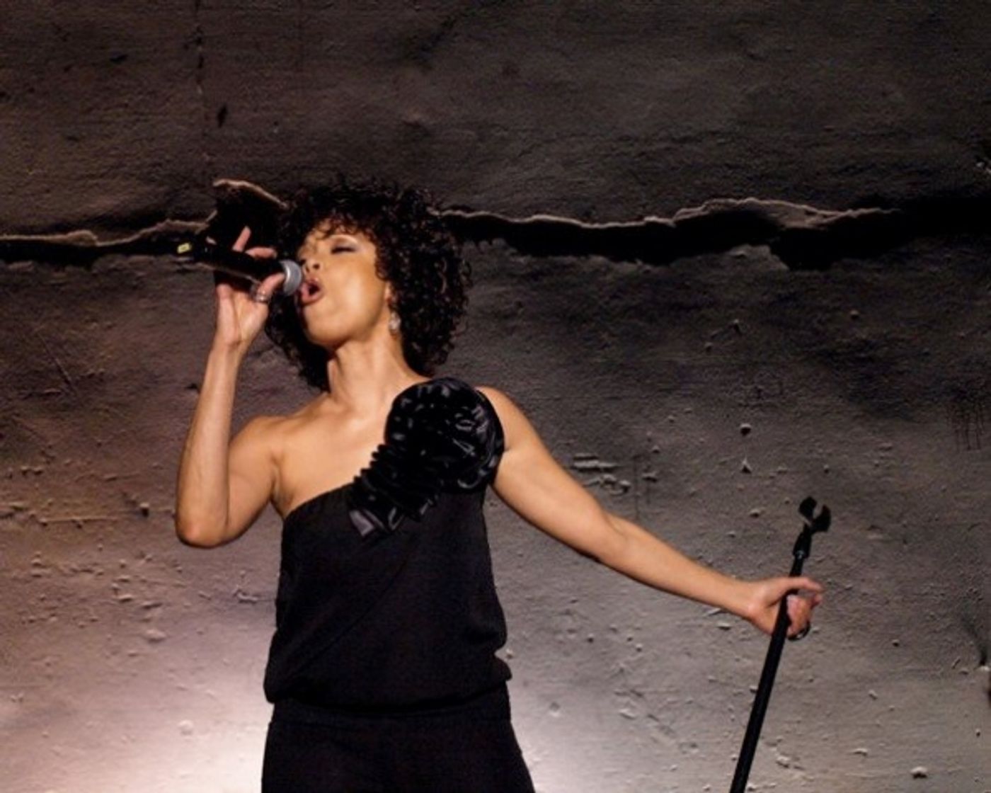 Photo Flash: Pascal, McGinnis, et al. Sing at REBUILD JAPAN  Image