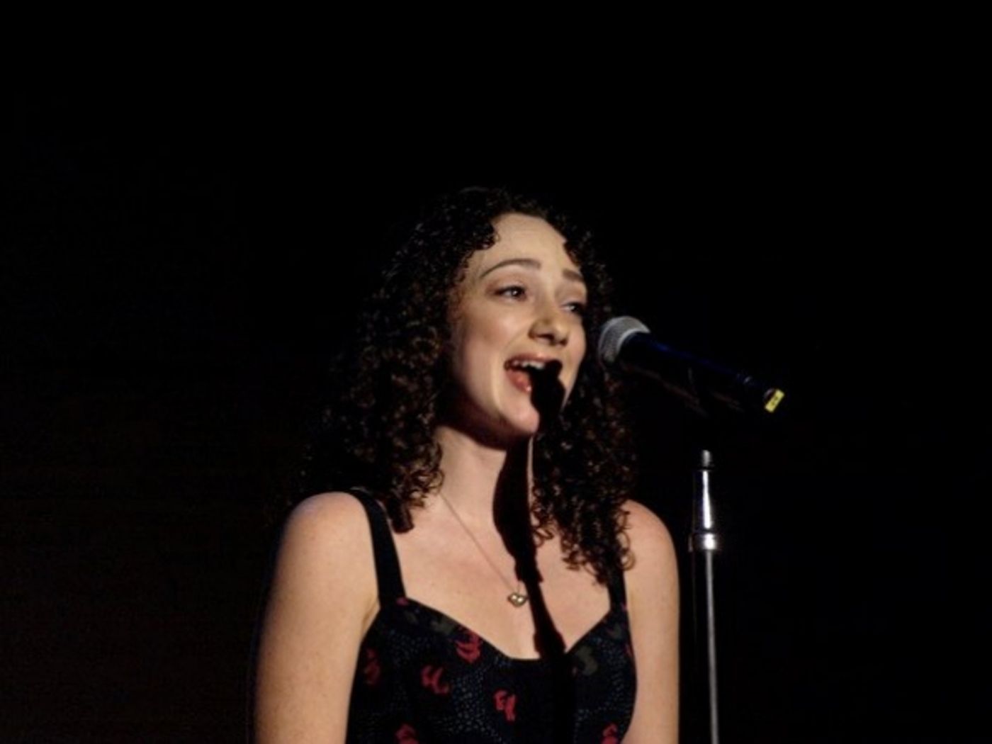 Photo Flash: Pascal, McGinnis, et al. Sing at REBUILD JAPAN  Image