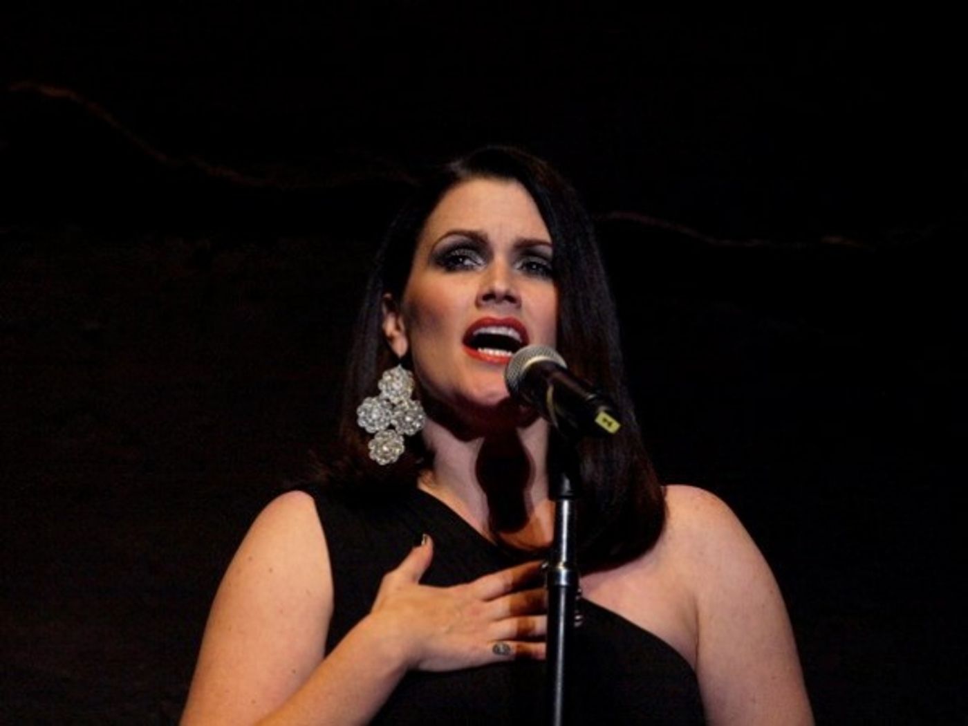 Photo Flash: Pascal, McGinnis, et al. Sing at REBUILD JAPAN  Image