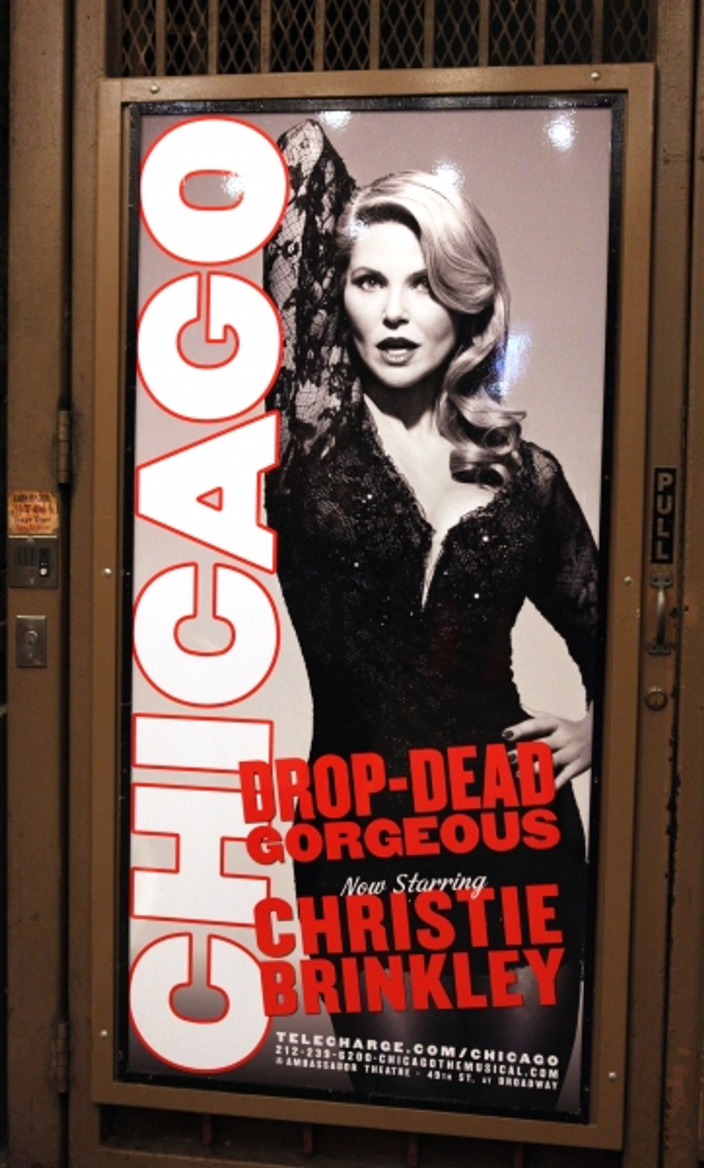 Photo Coverage: Christie Brinkley Debuts in CHICAGO  Image