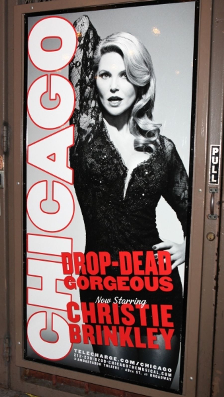Photo Coverage: Christie Brinkley Greets Fans After Broadway Debut Image
