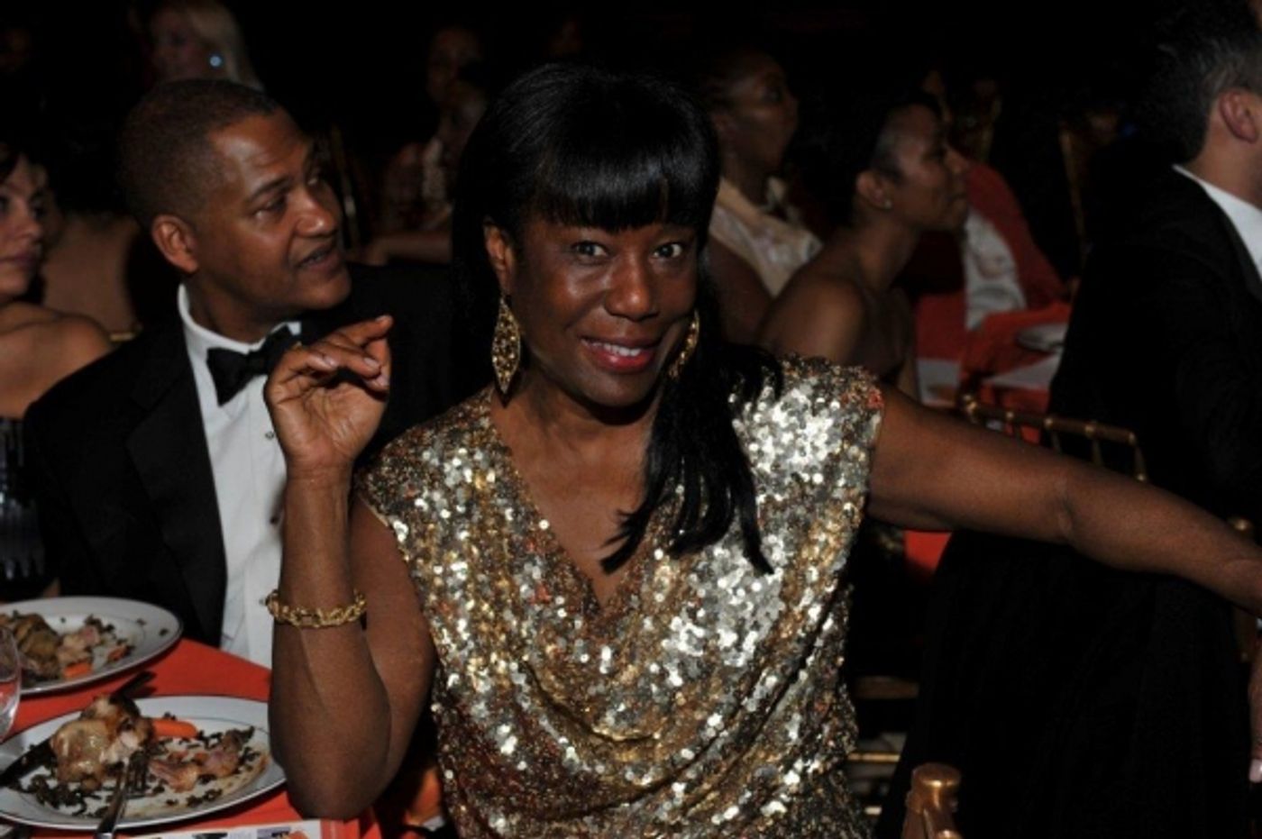 Photo Flash: 7th Annual Evidence Gala  Image