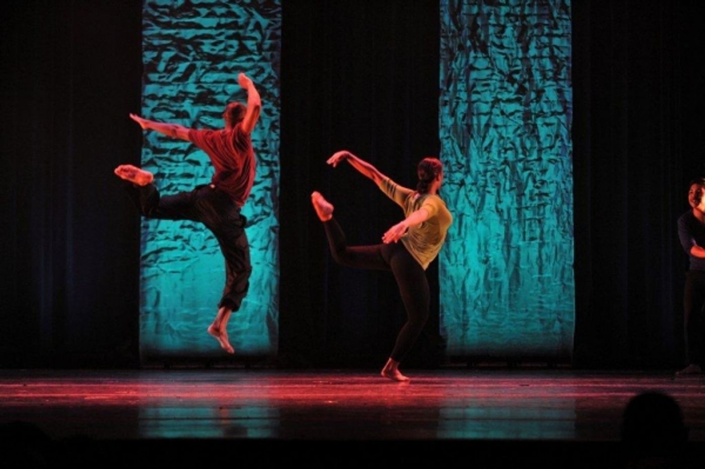 Photo Flash: 7th Annual Evidence Gala  Image