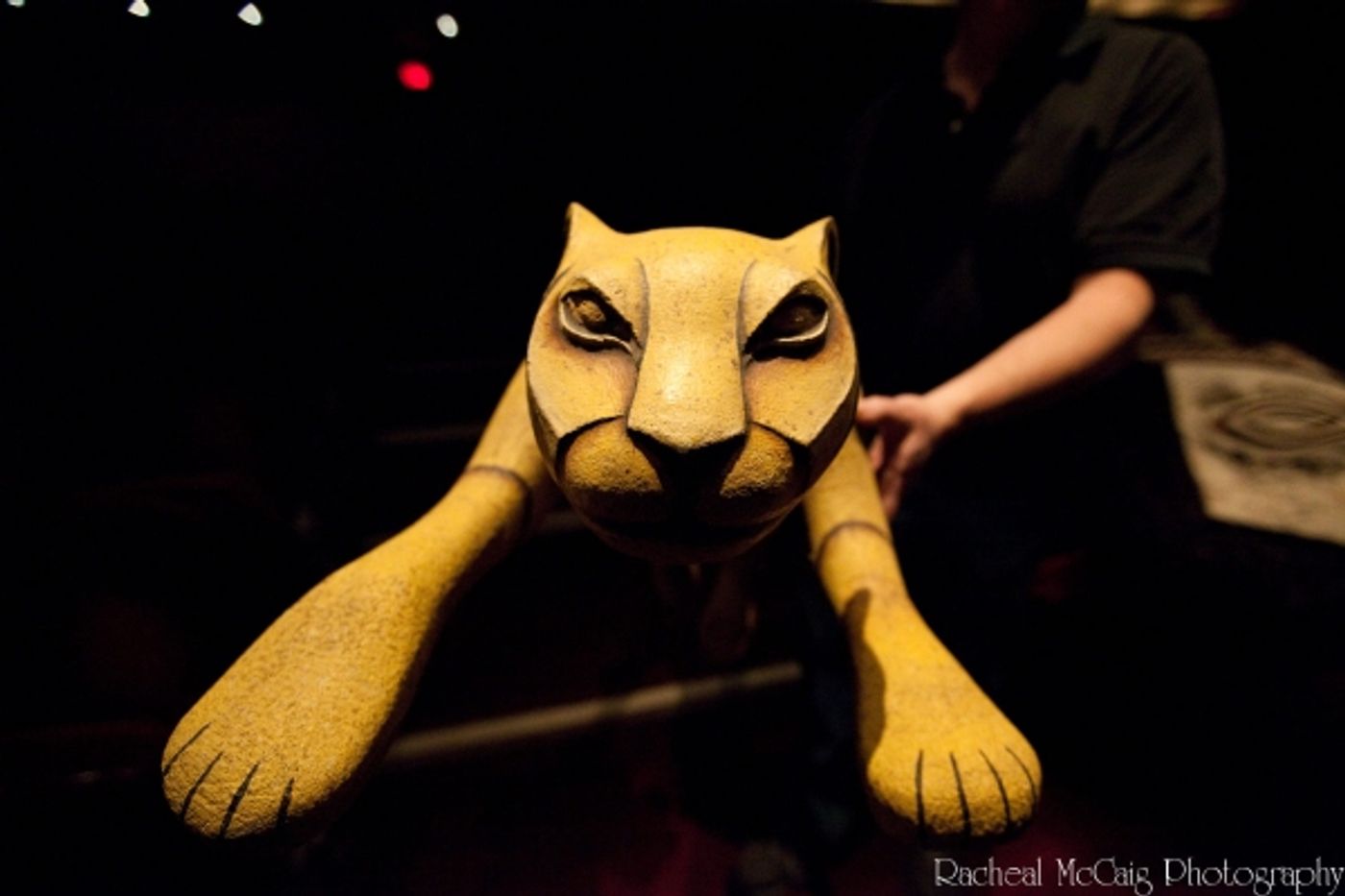 Photo Coverage: Disney's The Lion King Arrives in Toronto Photo Coverage: Disney's The Lion King Arrives in Toronto Image