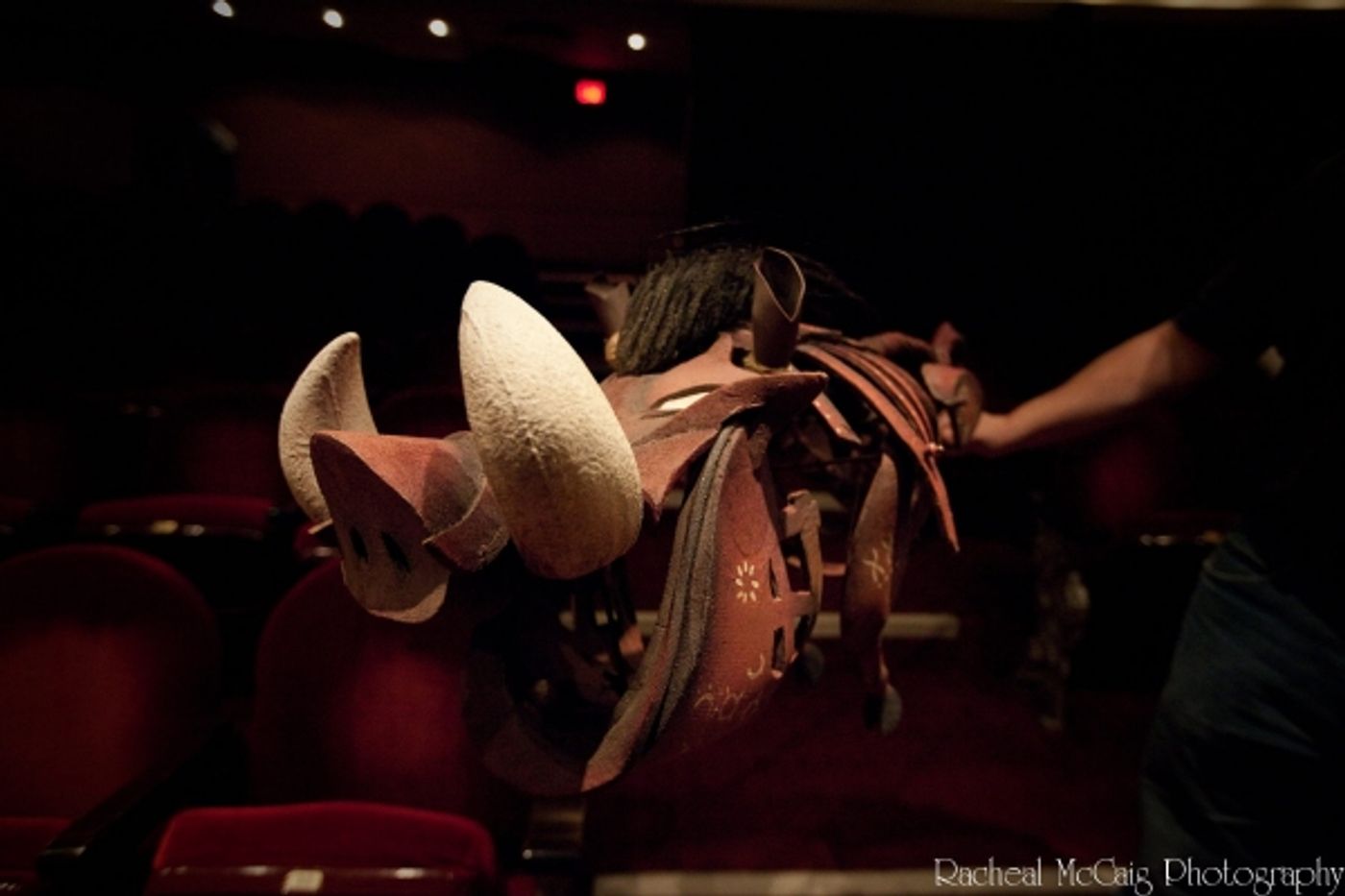 Photo Coverage: Disney's The Lion King Arrives in Toronto Photo Coverage: Disney's The Lion King Arrives in Toronto Image
