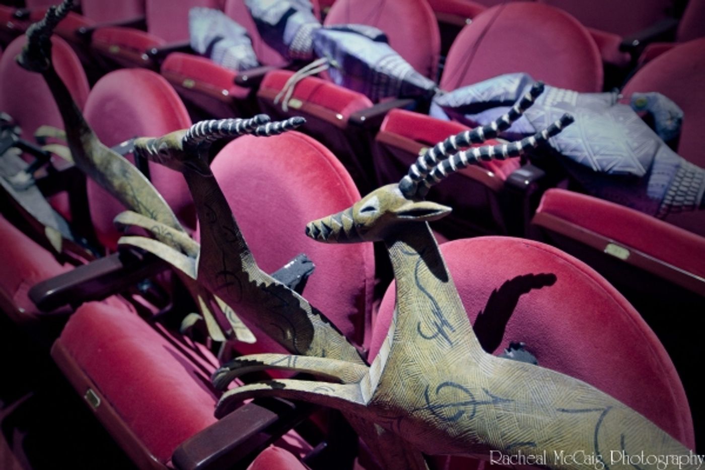 Photo Coverage: Disney's The Lion King Arrives in Toronto Photo Coverage: Disney's The Lion King Arrives in Toronto Image