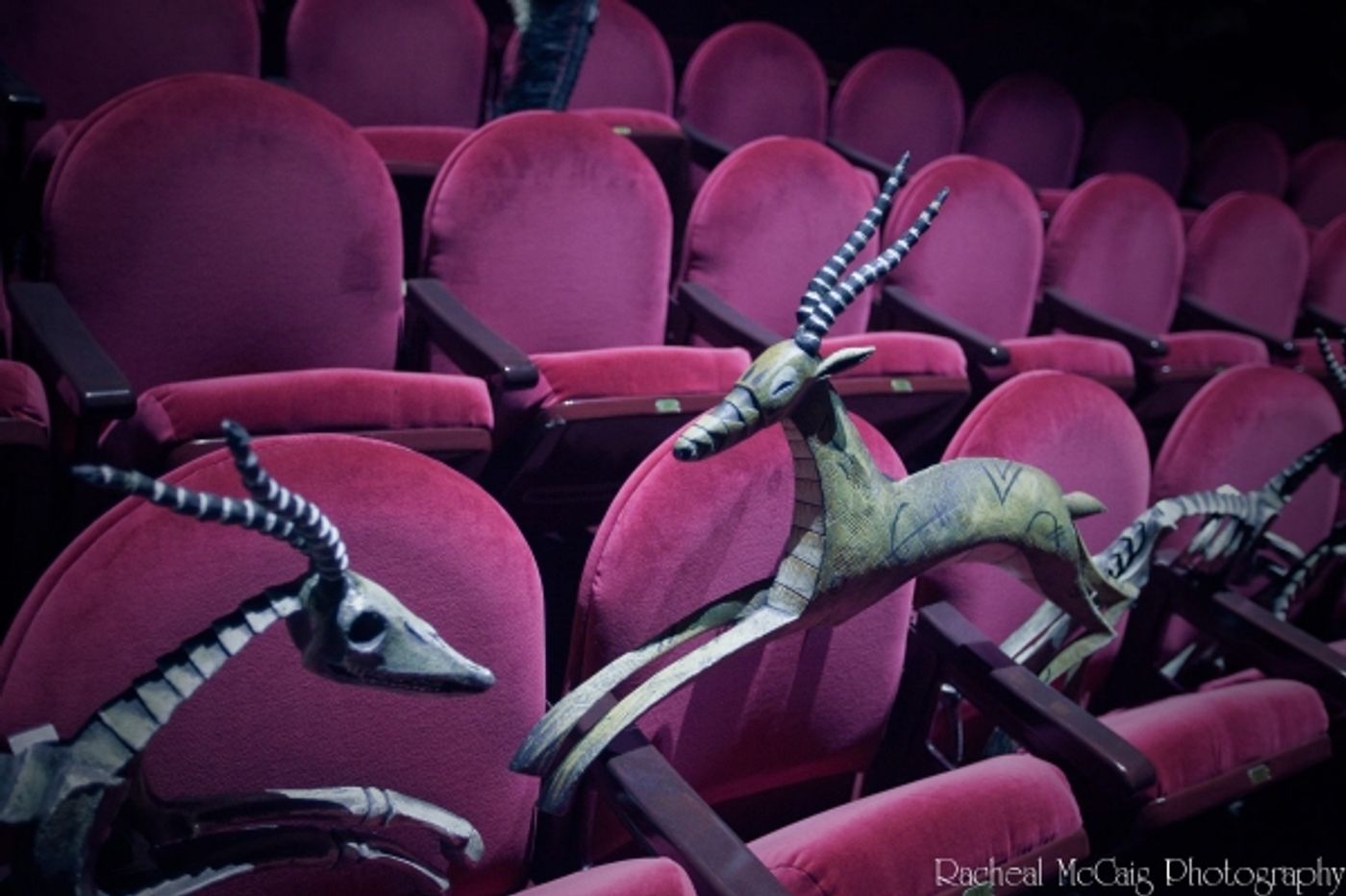 Photo Coverage: Disney's The Lion King Arrives in Toronto Photo Coverage: Disney's The Lion King Arrives in Toronto Image