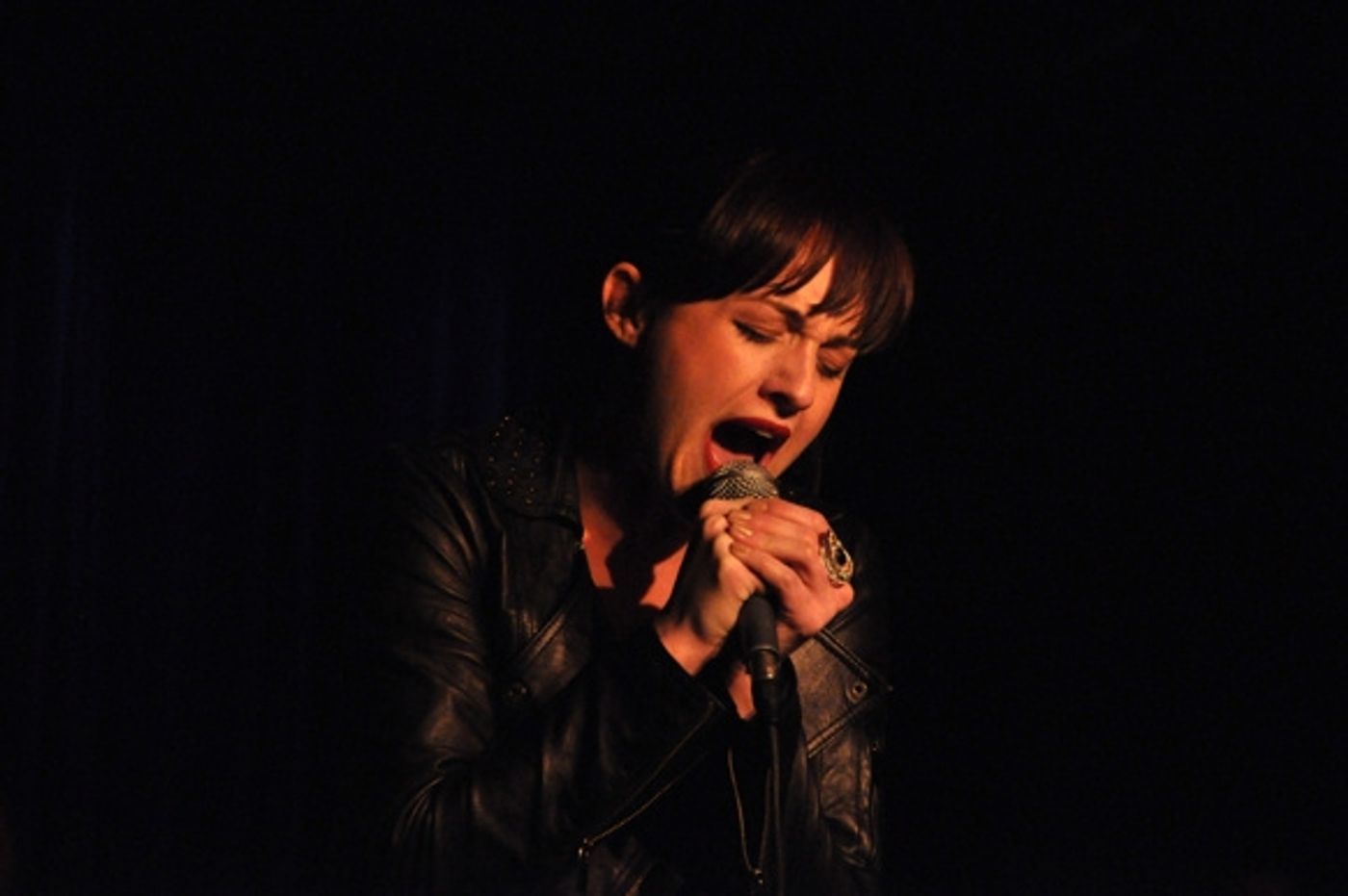 Photo Coverage: Jackson, Braxton & More at 'Theatre of Rock' Concert  Image