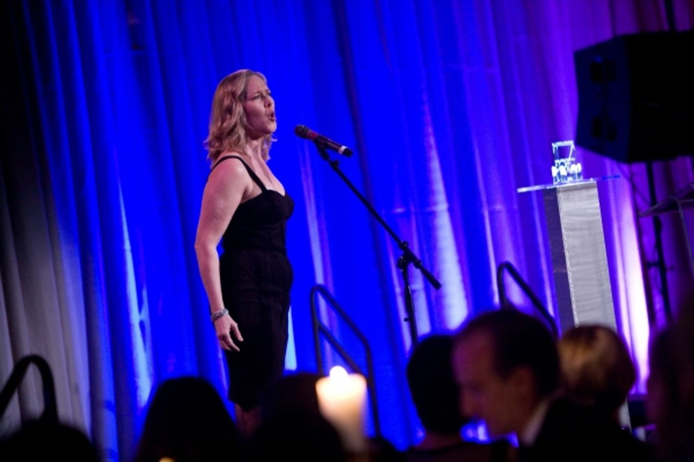 Photo Flash: Sondheim and Signature Theatre Honors Bernadette Peters  Image