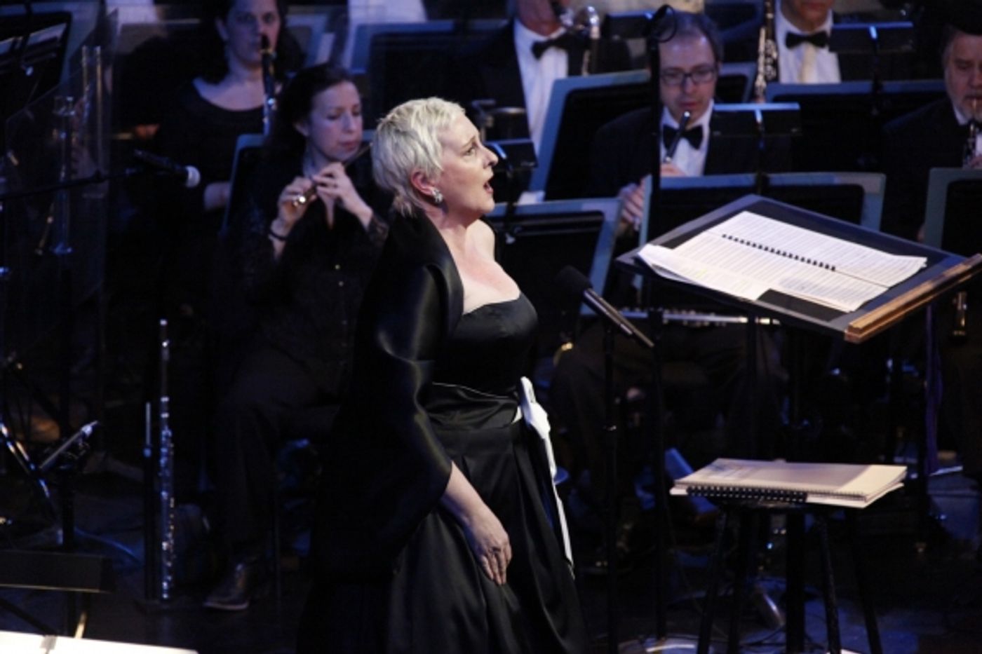 Photo Flash: Chenoweth, Esparza, Garber & More Honor Stephen Schwartz with the NYC Opera Photo Flash: Chenoweth, Esparza, Garber & More Honor Stephen Schwartz with the NYC Opera Image