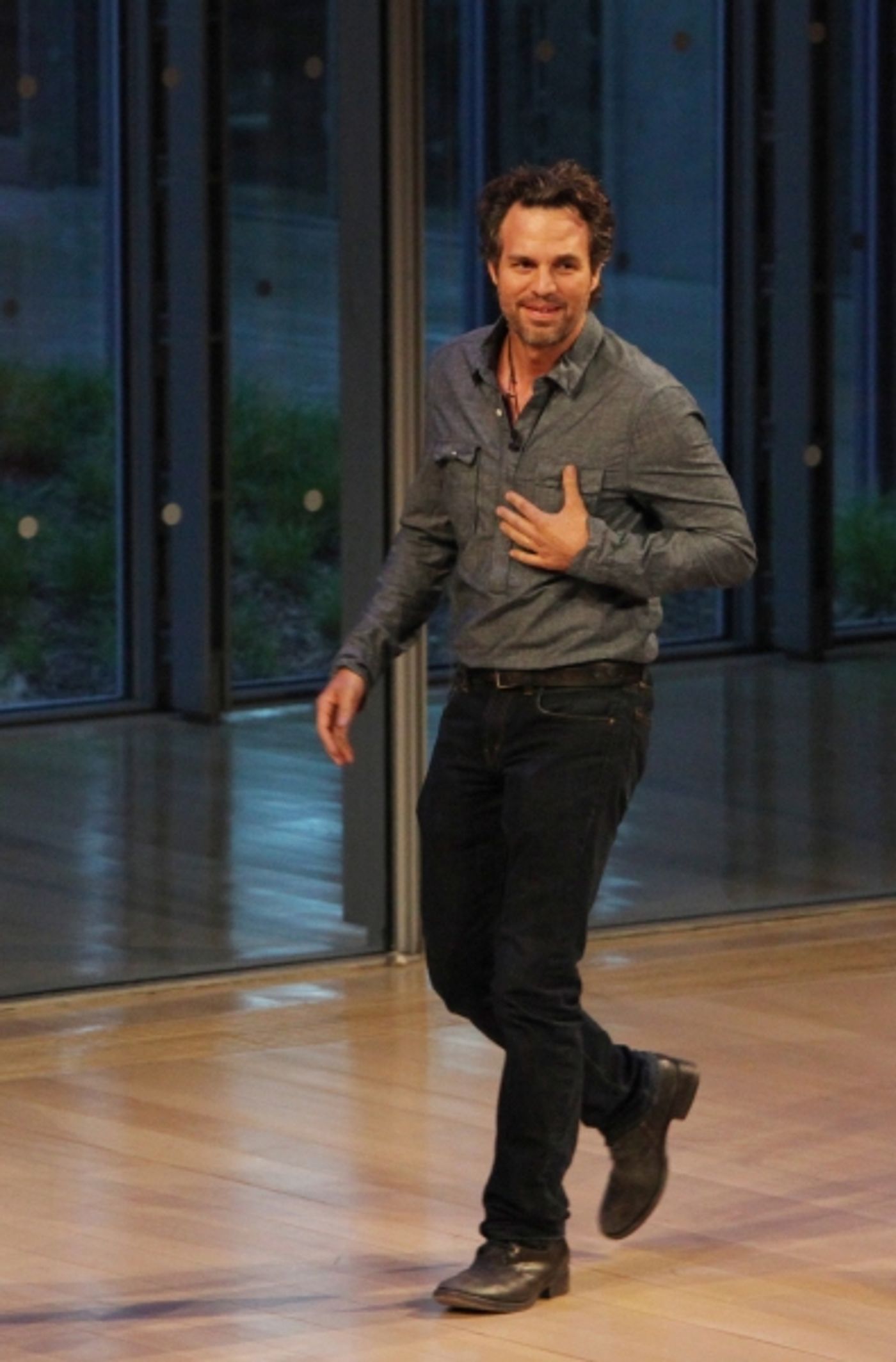 Photo Coverage: TimesTalks with Mark Ruffalo  Image