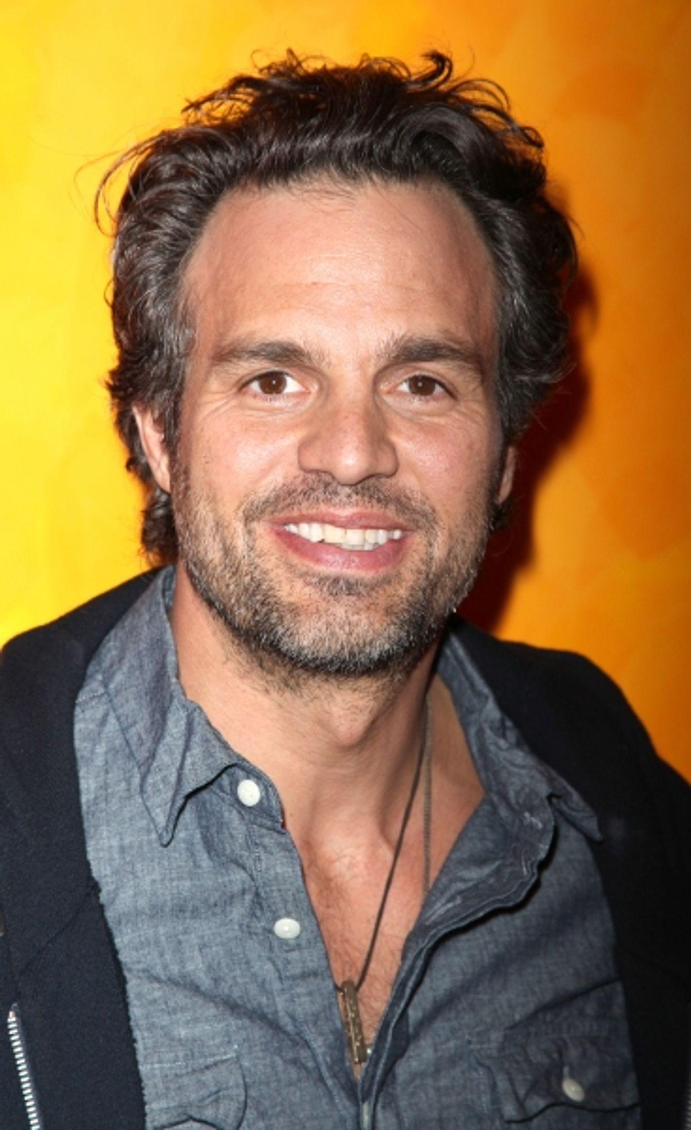 Photo Coverage: TimesTalks with Mark Ruffalo  Image