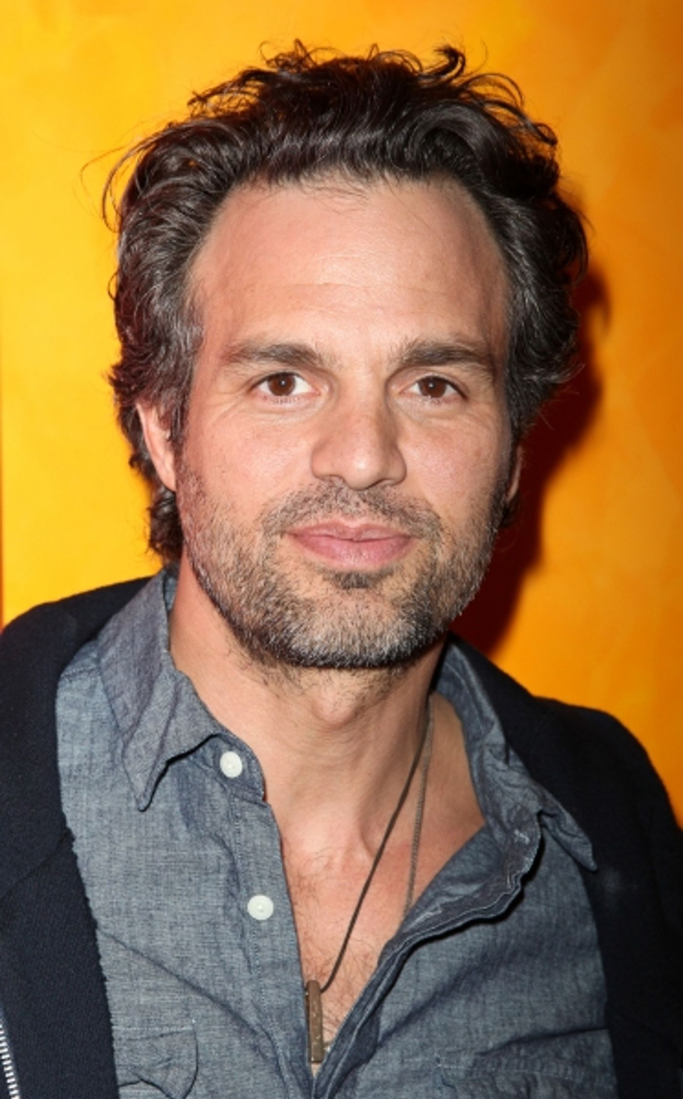 Photo Coverage: TimesTalks with Mark Ruffalo  Image
