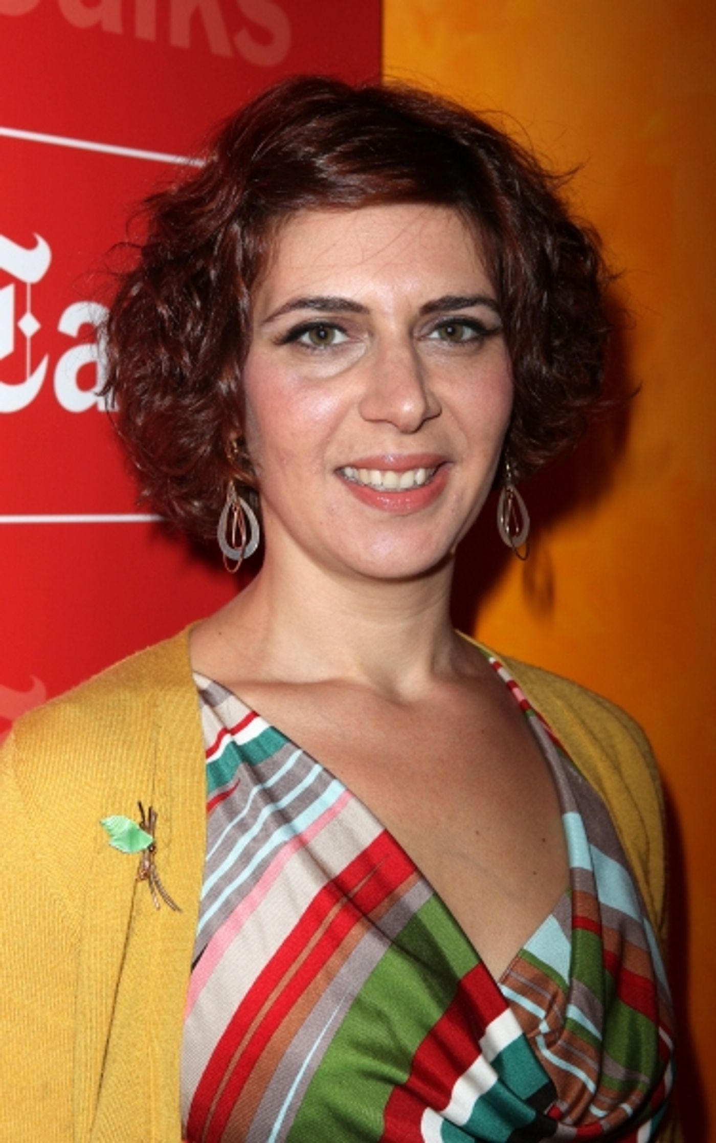 Photo Coverage: TimesTalks with Mark Ruffalo  Image