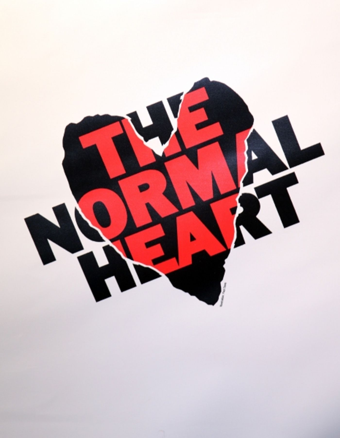 Photo Coverage: THE NORMAL HEART Opening Night Party  Image