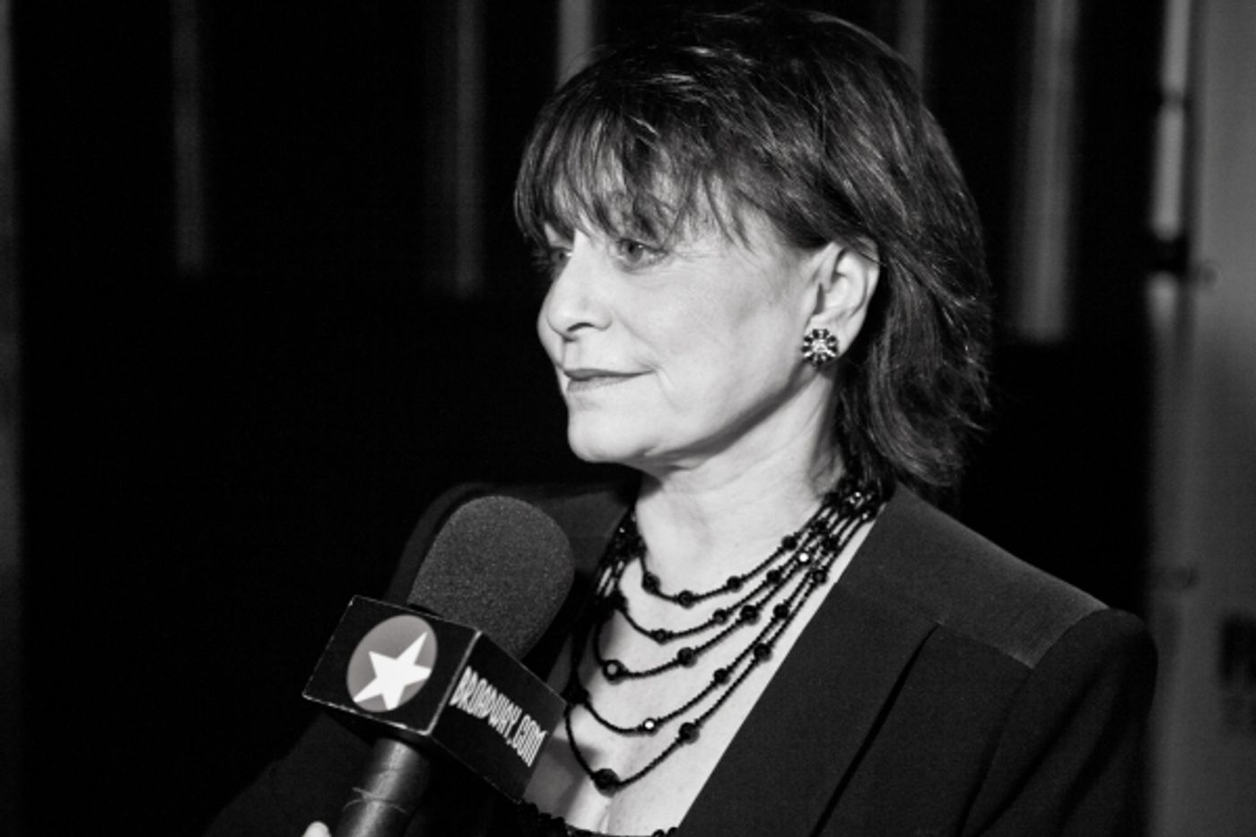 Photo Coverage: THE PEOPLE IN THE PICTURE Red Carpet  Image