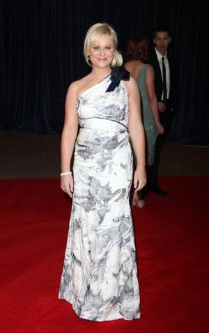 Amy Poehler attending the White House Correspondents' Association (WHCA) dinner at the Washington Hilton Hotel in Washington, D.C.. © Walter McBride / WM Photography / Retna Ltd. @ BroadwayWorld Amy Poehler attending the White House Correspondents' Association (WHCA) dinner at th Photo