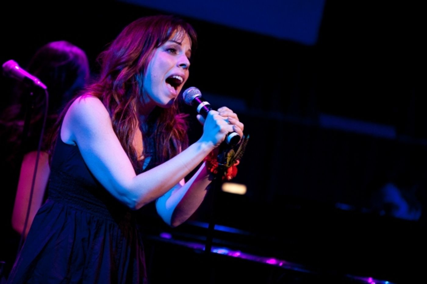 Photo Flash: Leslie Kritzer in BEAUTIFUL DISASTER at Joe's Pub  Image